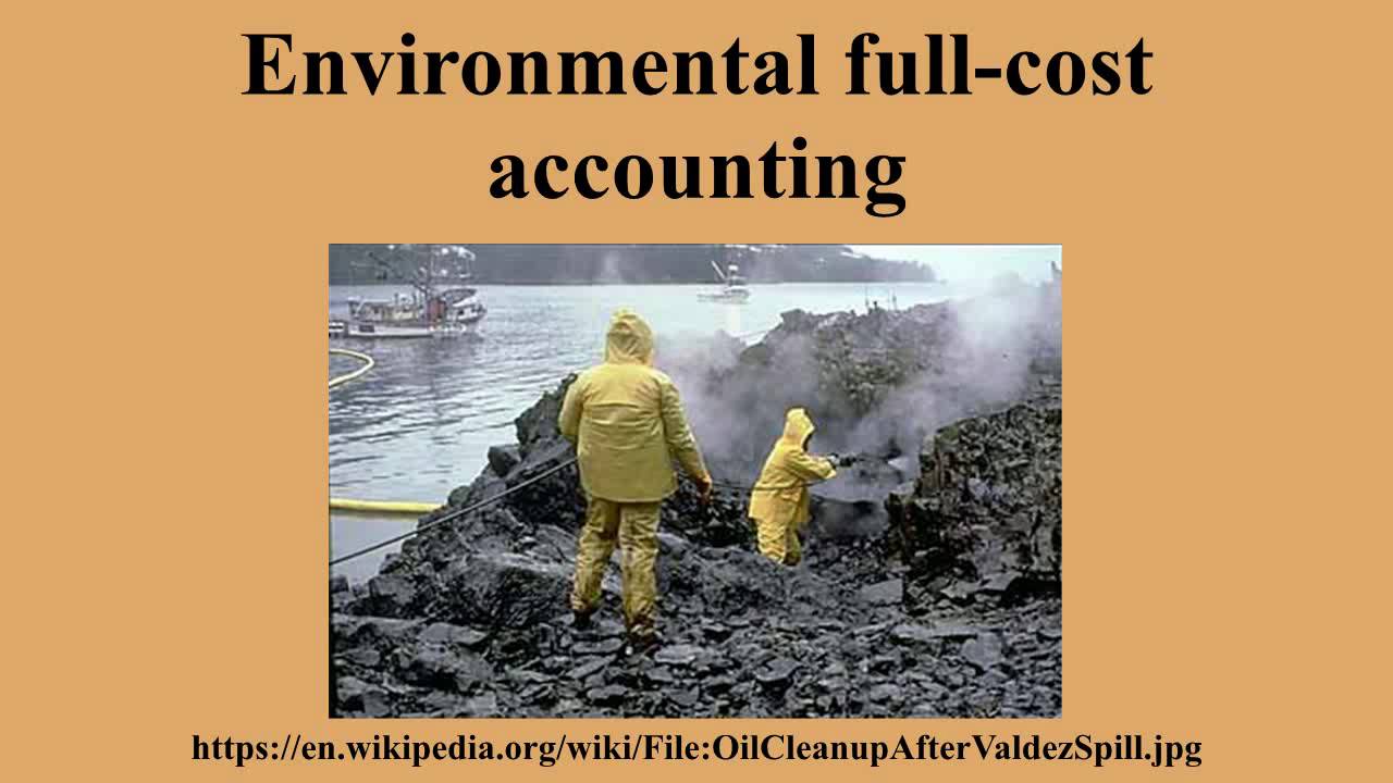 Environmental full-cost accounting