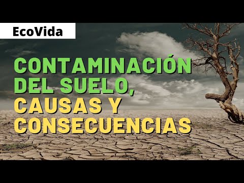 , title : 'CONTAMINACIÓN del SUELO ✅ (CAUSAS, CONSECUENCIAS y SOLUCIONES)'