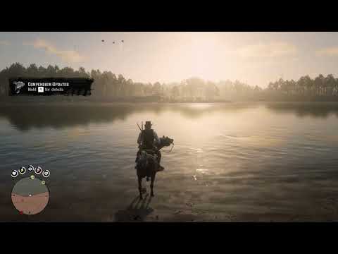 Perfect Iguana in RDR2