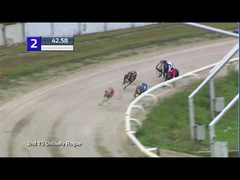 2020 CORAL REGENCY - 2ND SEMI - T2 AFFLECK LADY