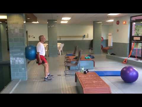 Total Home Training (THT) video.