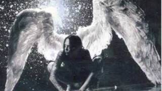 PAIN - Dark Fields Of Pain