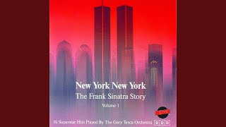 Night And Day - Instrumental Cover