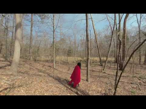 Colonial Williamsburg With Lyric H909 YT VR160 injected