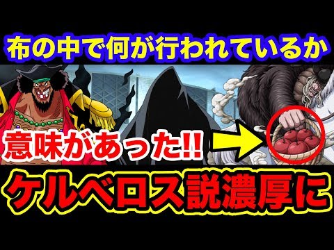 【ワンピース】黒ひげケルベロス説濃厚に！ドクQとの共同作業により悪魔の実をまだまだ食べられる説！白ひげのグラグラの実を奪った方法も徹底解明【ONE PIECE】 Video