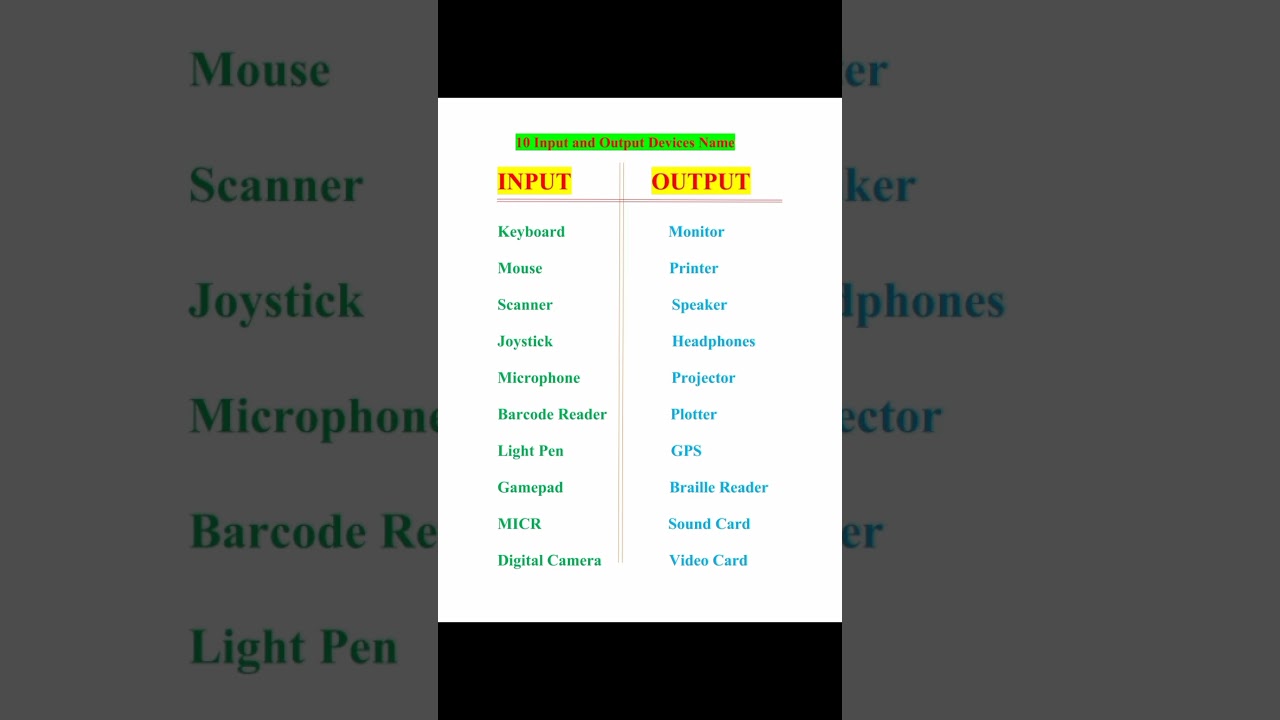 10 Input and Output Devices in Computer Hardware