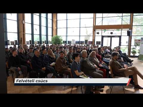 Híradó – 2026.07.24. – Péntek
