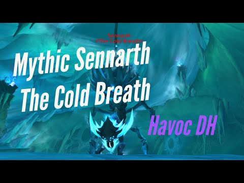 Vigil vs Mythic Sennarth, the Cold Breath - Havoc Demon Hunter PoV
