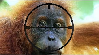 Earth Love Trailer Video Design Emphasizes Its Impactful Message With Powerful, Blockbuster-Quality Visuals