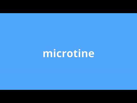 what is the meaning of microtine