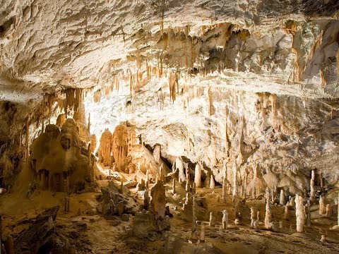Park Postojnska jama - Postojna Cave Park, Slovenia