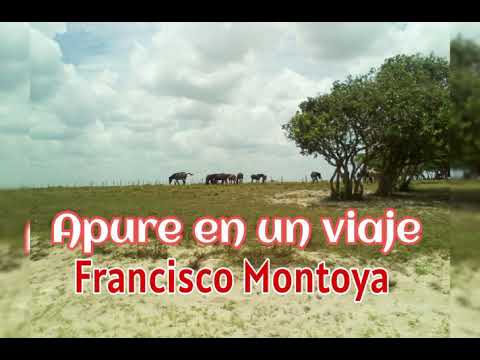 Apure en un viaje, Francisco Montoya