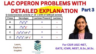 Solving lac operon problems | Easy step -by -step guide| Part 3