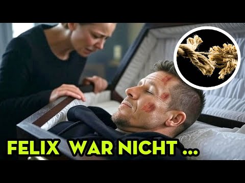 Der tragische Tod von Felix Baumgartner, seine Frau brach ihr Schweigen und die Welt war SCHOCKIERT.