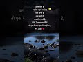 Tumse Pyaar Hai Isliye Ladai Karte Ture Lines Shayari Status Sad Shayari Hindi Shayari Shayari