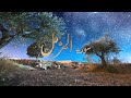 Feel the Beauty of Quran | Surah Muzammil Full| Ibrahim Al jibreen سوره المزمل ابراهيم الجبرين