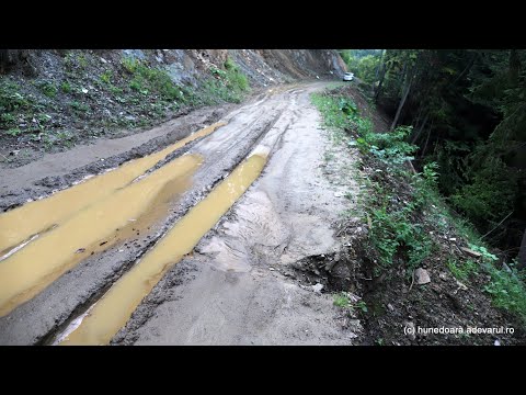 Natura dezlănțuită pe noul drum spre Vadu Dobrii