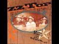 ZZ Top - Sure Got Cold After The Rain Fell 