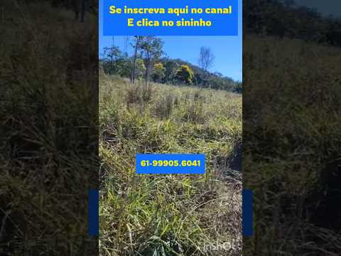 Fazendinha muito boa de 18 alqueires em pe Bernardo #brasil #fazenda #mercadoagricola #gado #agro