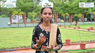 Empowering Educators, Inspiring Change | Ch. Devi’s Kaushal Bodh Journ