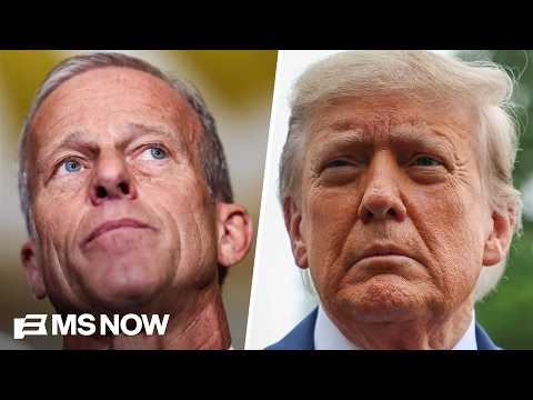 Most Republicans understand Georgia 'is gone' this midterm: Sykes