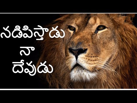 nadipisthaadu naa devudu