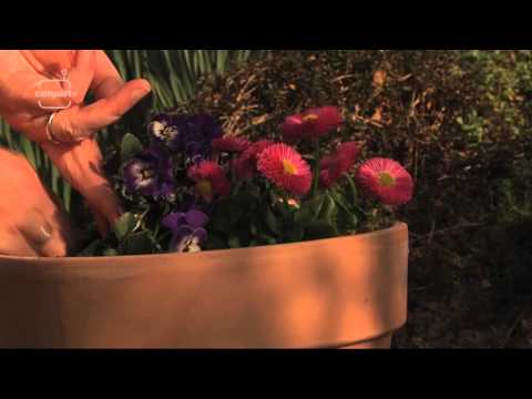 CampusTV Mainz Sendung 205 - Spezial