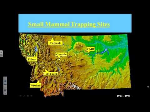 Lessons from Two Decades of Hanta Virus Research