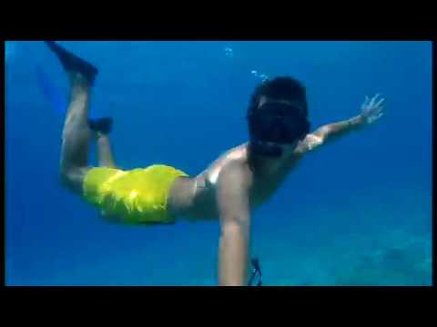 ＣＲＯＡＴＩＡ　ＷＡＶＥ　２０１７||part 2