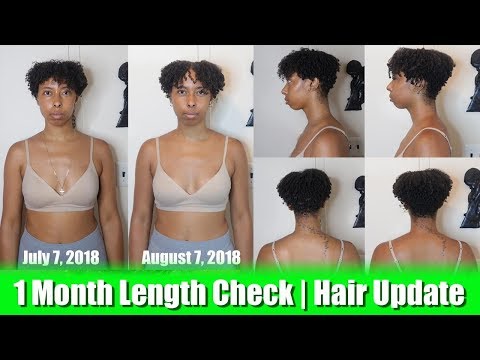 1 Month Curly Length Check | Hair Update Video