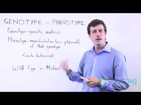 Genotype vs Phenotype