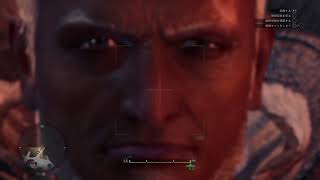 MHWアイスボーン耐久プレイ