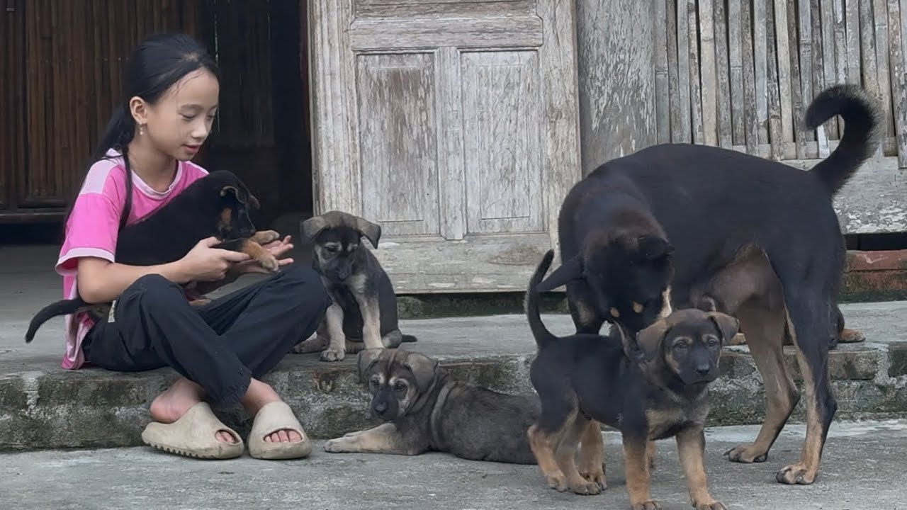 Ngoc Han grinds corn kernels to feed the chickens, cooks, and takes care of the dogs.