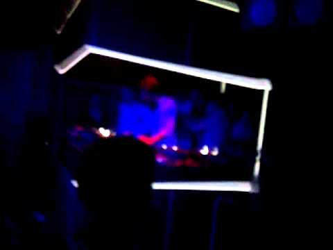 ZONE IV @ Social Club 21-04-12