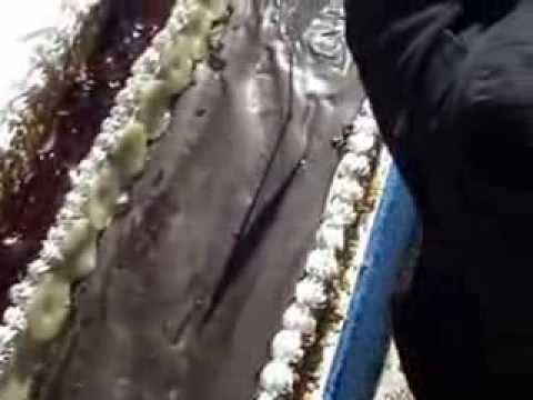 TORTA E PAVARSISE SE  KOSOVES  2008