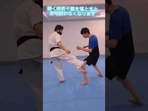 ローキックの防ぎ方 #ローキック #空手 #ガード #総合格闘技 #禅道会 #mma #フルコンタクト