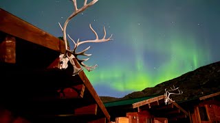 Greenland LAX-A Camp - Caribou | Char | Glacier Adventure.