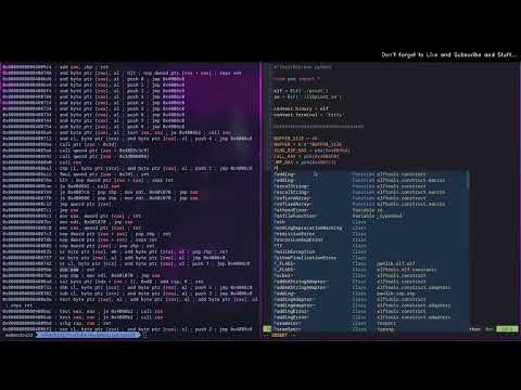 Pivoting the Stack - Linux x64 [Rop Emporium 0x6] - pivot