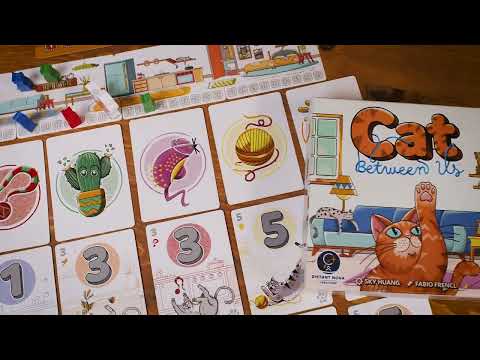 Cat between Us | Overview