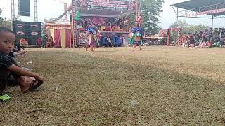 Download lagu Srikandi TURONGGO SURYO BUDOYO.. Live 🇮🇩kel. saribungamas mp3