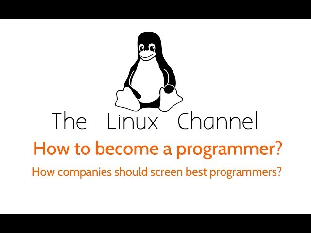 230 How to become a programmer? And how companies should screen talented programmers?