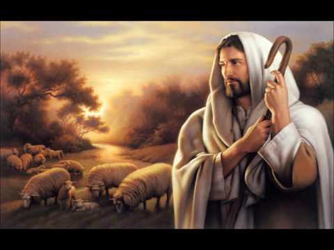 Perla Bjurenstedt - Son av fridens land