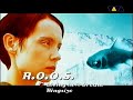 R O O S Living In A Dream The Essence Of The Song