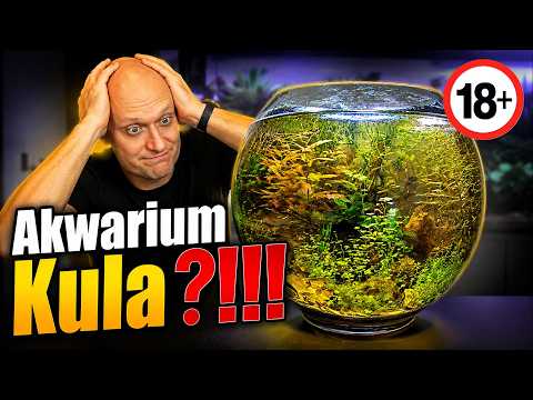 Film - Akwarium kula jak to mo?liwe.