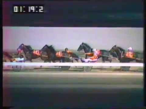 1984 Interdominions - Pacers' 7th Heat, Globe Derby Park, Adelaide: Mai Mai
