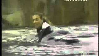 Slow Motion footage of Dawn with Tilikum seconds before take-down