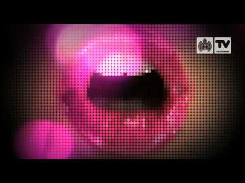 Steve Angello & Laidback Luke Ft Robin - Show Me Love (New Official Music Video) HQ