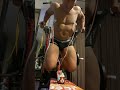 モフモフとムキムキのゴールデンハムスターが負荷をかけてくれるディップスで胸を大きくしよう