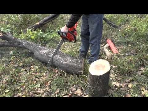 Видео: Обзор бензопилы Foresta FA-58S в работе