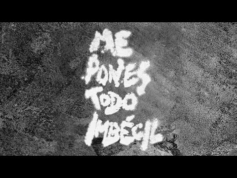 Me Pones Todo Imbécil - LMBECIL